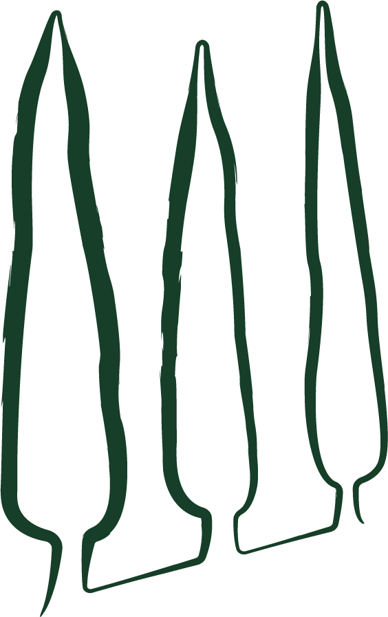 Logo de Can Pruna